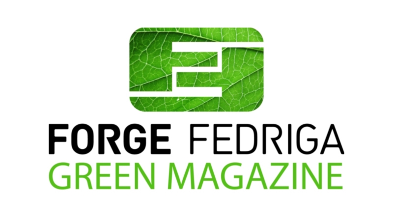 FORGE FEDRIGA GREEN MAGAZINE N.12